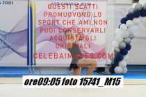 15741_M15-