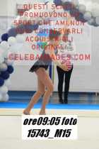 15743_M15-