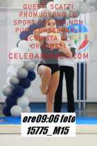 15775_M15-