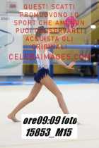 15853_M15-