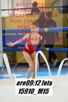 15910_M15-