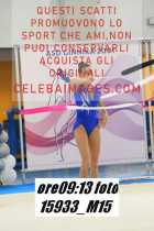 15933_M15-
