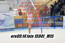 15941_M15-