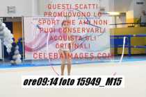 15949_M15-