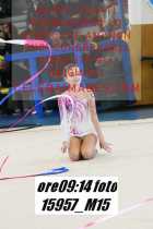 15957_M15-