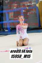 15958_M15-