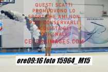 15964_M15-