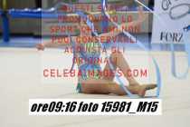 15981_M15-