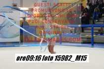 15982_M15-