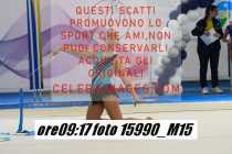 15990_M15-