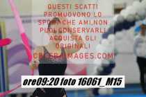 16061_M15-