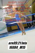 16084_M15-
