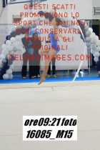 16085_M15-