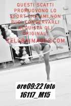 16117_M15-