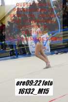 16132_M15-