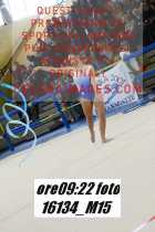 16134_M15-