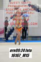 16167_M15-