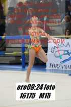 16175_M15-