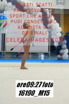 16190_M15-