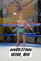 16208_M15-