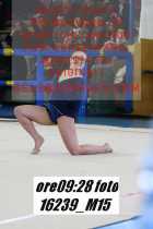 16239_M15-