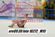 16272_M15-