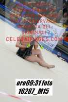 16287_M15-