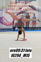 16294_M15-