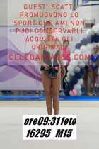 16295_M15-