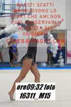 16311_M15-