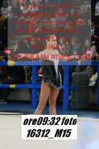 16312_M15-