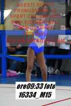 16334_M15-