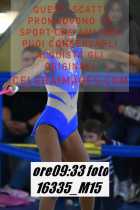 16335_M15-