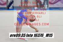 16376_M15-