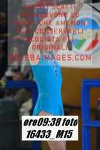 16433_M15-