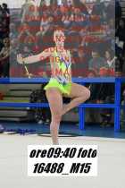 16488_M15-
