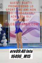 16496_M15-