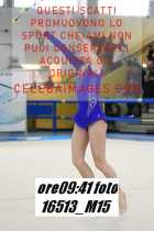 16513_M15-