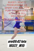 16522_M15-