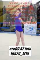 16529_M15-