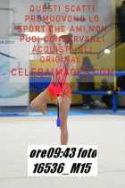16536_M15-