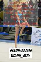 16560_M15-