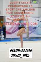 16570_M15-
