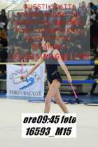 16593_M15-