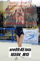 16594_M15-