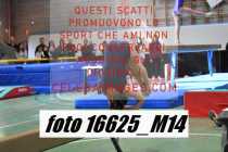 16625_M14