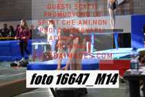 16647_M14