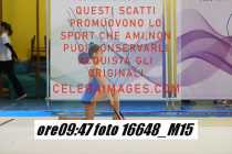 16648_M15-