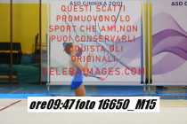16650_M15-
