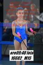 16682_M15-